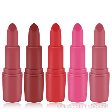 25 colores Matte Professional personalizado Matte Vintage Lipstick